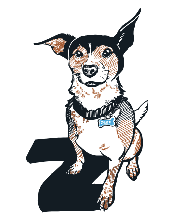 Ink sketch of Zeke, a terrier, seated over a large letter Z